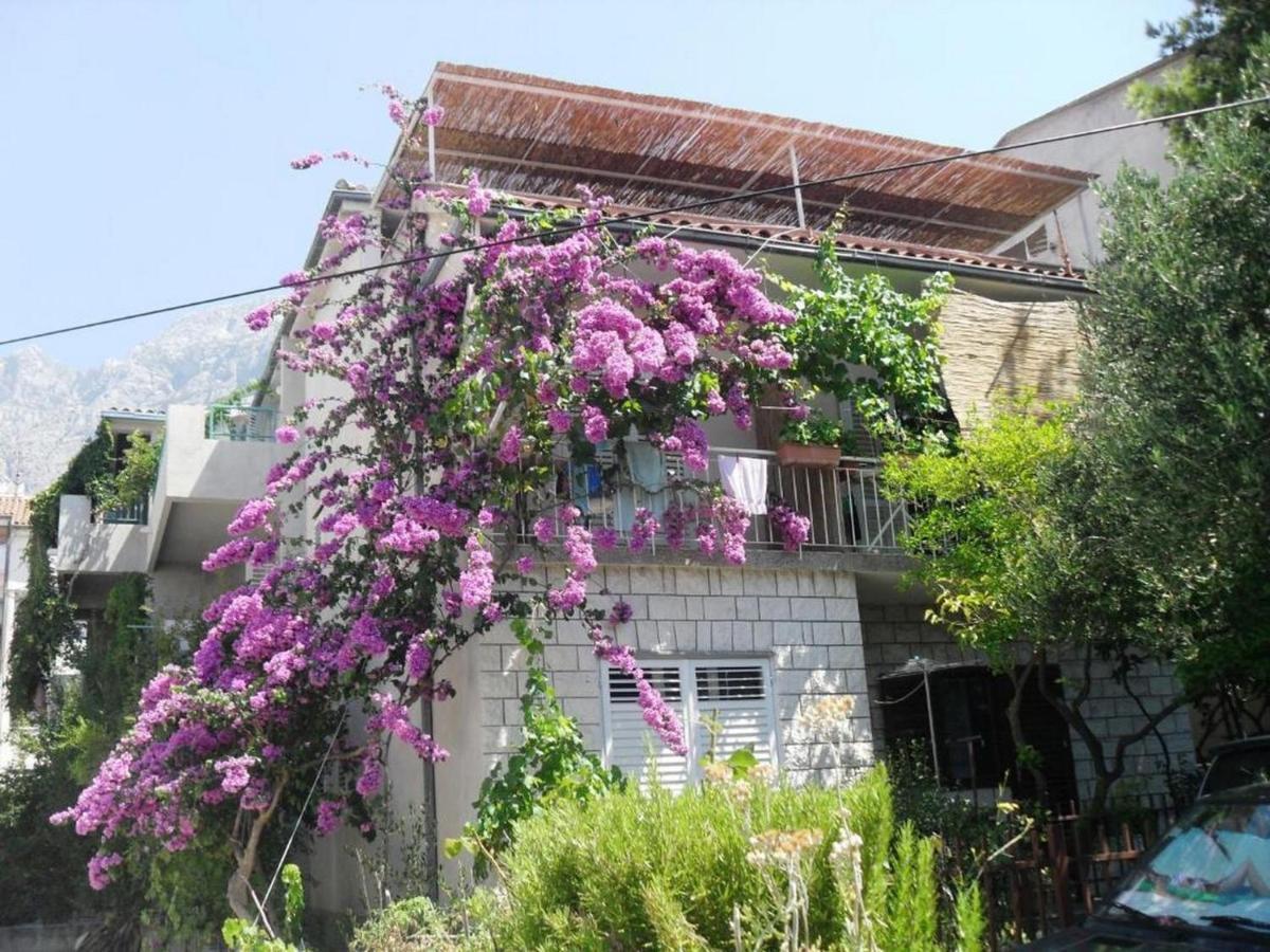 Apartmans Kate * Makarska